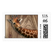 Hoffmans Friend postage
