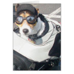 Hog Dog card
