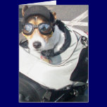Hog Dog cards