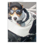 Hog Dog Greeting Cards