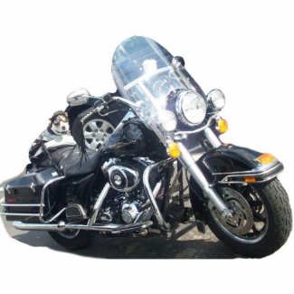 Hog Dog photosculpture