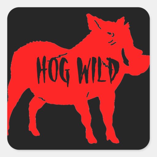 HOG WILD HELMET STICKERS PKG OF 20 Zazzle