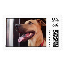 Hogan postage