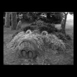 Hogs Head, Bute Park, Cardiff photography