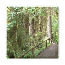 Hoh Valley Rain Forest magnets by hopefulone Hoh Valley Rain Forest magnets