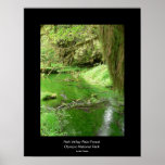 Hoh Valley Rain Forest Poster (stream)