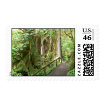 Hoh Valley Rainforest Postage