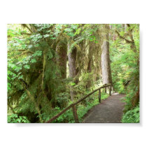 Hoh Valley Rainforest Trail Poster posters by hopefulone Hoh Valley Rainforest Trail Poster posters