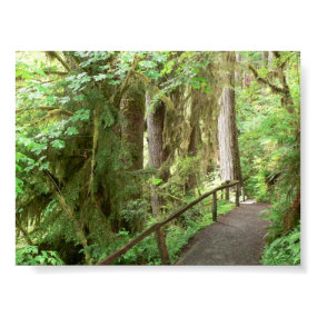 Hoh Valley Rainforest Trail Poster print