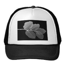 Hoja invertida gorras