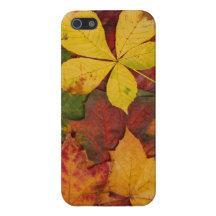 Hojas brillantemente coloreadas de la caída iPhone 5 cárcasa