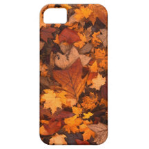 Hojas de la caída iPhone 5 Case-Mate coberturas