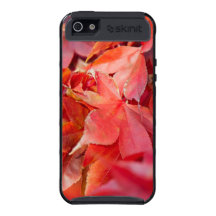 Hojas rojas de la caída iPhone 5 funda