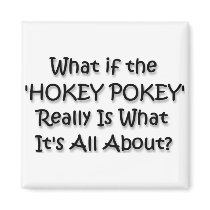 HOKEY POKEY magnets