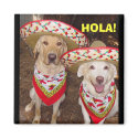 HOLA! magnets by myrtieshuman HOLA! magnets
