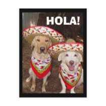 HOLA! postcards