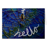 ¡Hola! Tarjeta de felicitación de la araña