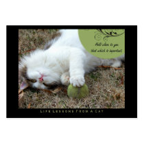 Hold Close Life Lessons from a Cat ACEO Art Cards Business Card Templates