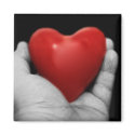 Hold my heart magnets