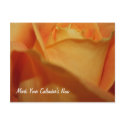 Hold The Date Post Card postcards