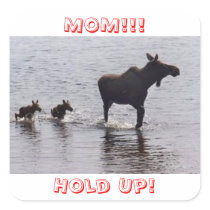 Hold Up!!! Moose Stickers