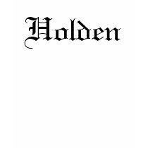 Holden - Customized t-shirts