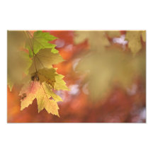 Holding On. Photographic Print