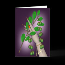 HOLDING OUT AN OLIVE BRANCH cards