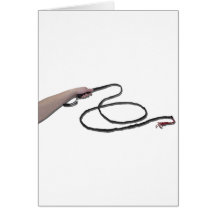 HoldingWhip103110 Greeting Cards