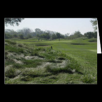 Hole 3 cards