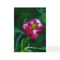 Hole In My Heart Card by sruhs Hole In My Heart Card