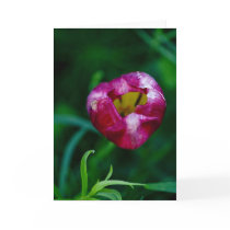 Hole In My Heart Card