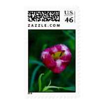 Hole In My Heart Postage Stamp by sruhs Hole In My Heart Postage Stamp