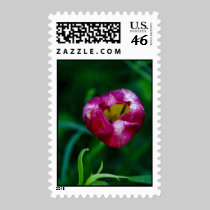 Hole In My Heart Postage Stamp stamps