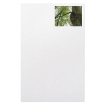 Hole in the tree stationery by Flash_Light_Photos Hole in the tree stationery