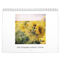 Holga Calendar: Life through a plastic lense
