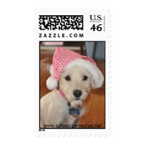 Holiday 2010 Stamp stamps