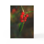 Holiday Berries Card