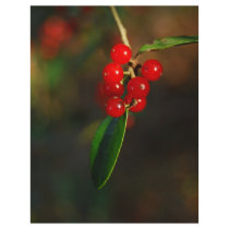 Holiday Berries letterhead