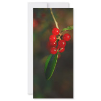 Holiday Berries rack cards