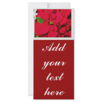 Holiday Blessings_ rack cards
