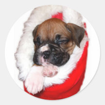 Holiday boxer puppy sticker