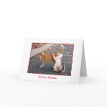 Holiday Card