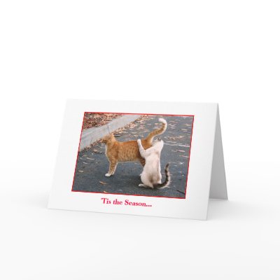 Holiday Card