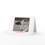 Holiday Card