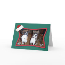 Holiday Card