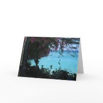 Holiday cards
