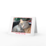 Holiday Card