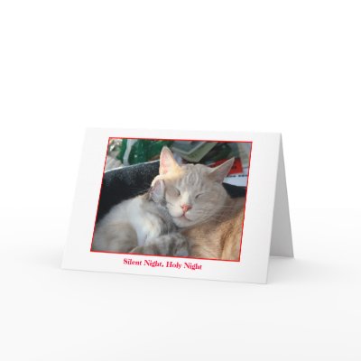 Holiday Card
