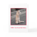 Holiday Card